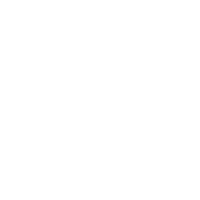 Icon Trockenbauer